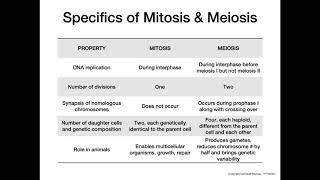 Mitosis vs Meiosis [upl. by Manning]