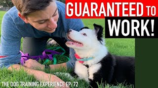 The Complete Guide to Potty Training Your Puppy [upl. by Atnima]