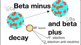 Beta minus and beta plus decay explained from fizzicsorg [upl. by Dearborn589]