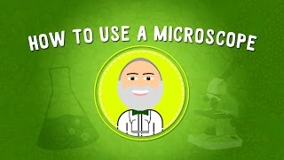 How to Use a Microscope  STEM [upl. by Palocz]