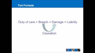 Introduction to Tort Law [upl. by Thordia]