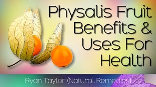 Physalis Fruit Benefits and Uses Cape Gooseberry [upl. by Akienaj889]