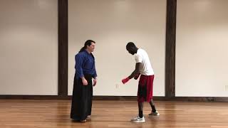 Handling Real Strikes with Aikido [upl. by Ashti236]