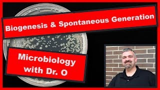 Biogenesis Versus Spontaneous Generation Microbiology [upl. by Dianne]