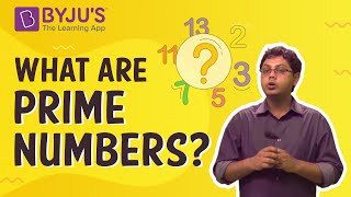 Prime Numbers  Introduction With Examples [upl. by Phillipe798]