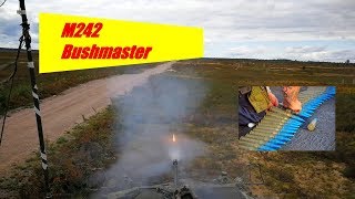 M242 Bushmaster  Live Fire [upl. by Neff]