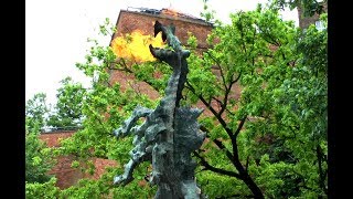 Wawel Dragon Smok Wawelski  Fire Breathing Dragon in Kraków [upl. by Adaminah]