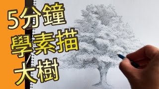 5分鐘學素描大樹屯門畫室素描教學班5 mins drawing tutorial Treetuenmunstudiocom [upl. by Anilag]