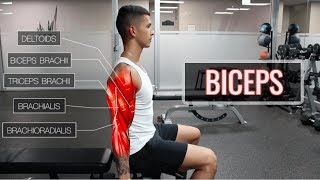 The Best ScienceBased Bicep Workout  ARMS Part 12 [upl. by Fink]