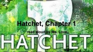 Hatchet by Gary Paulsen  Chapter 1 [upl. by Adonis]