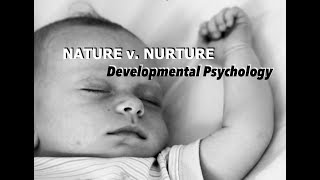 Genes amp Environment in Prenatal development  Developmental Psychology [upl. by Ellered409]