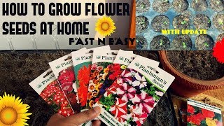 How To Grow Flower Seeds Fast With Update [upl. by Allenotna100]