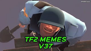 TF2 MEMES V37 [upl. by Sunshine918]