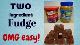 Two Ingredient Chocolate Peanut Butter Fudge [upl. by Wolfort]