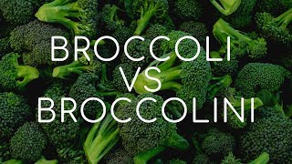 Broccoli or Broccolini What Is The Healthiest Option [upl. by Aicert]