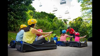 Sentosa Skyline Luge  Singapore [upl. by Lletnuahs51]