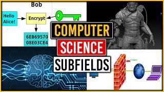 Computer Science Careers and Subfields [upl. by Estelle]