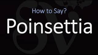 How to Pronounce Poinsettia CORRECTLY [upl. by Edmondo]