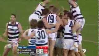 Tom Hawkins goal on the siren  AFL [upl. by Ashmead280]