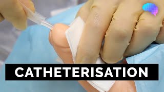 Catheterisation  OSCE Guide  UKMLA  CPSA  PLAB 2 [upl. by Joashus209]