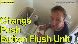 HOW TO CHANGE A PUSH BUTTON FLUSH UNIT  Plumbing Tips [upl. by Zaid835]