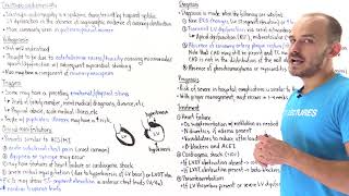 Takotsubo cardiomyopathy stressinduced cardiomyopathy [upl. by Norwood]