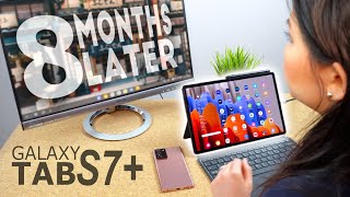 Samsung Galaxy Tab S7 8 Months Later [upl. by Kraul]