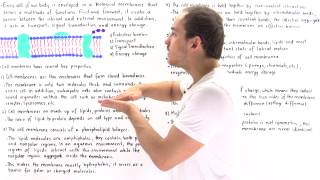 Properties of Cell Membrane [upl. by Diver968]