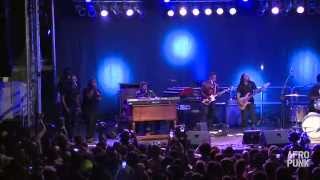 DAngelo at AFROPUNK FEST 2014 FULL SET [upl. by Enawtna]