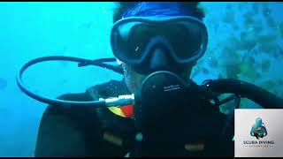 Discover Goas Underwater Treasures Scuba Diving at Grand Island [upl. by Edla]