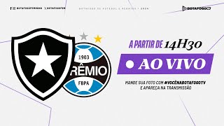 AO VIVO COM IMAGENS  Botafogo x Grêmio  A1 Feminino [upl. by Nevai]