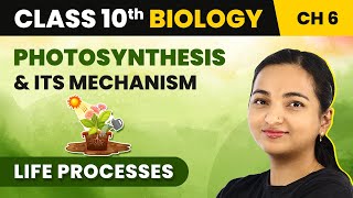 Class 10 Biology Chapter 6  Photosynthesis and Its Mechanism  Life Processes [upl. by Ardekal489]