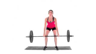 Barbell Deadlift [upl. by Navlys]