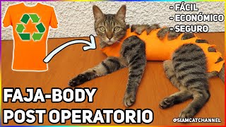 FAJABODY POST OPERATORIO PARA GATAS ESTERILIZADAS FÁCILECONÓMICO  SiamCatChannel [upl. by Fiedling]