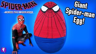 Spiderman Giant Suprise Egg on HobbyFamilyTV [upl. by Eiba]