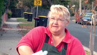 How To Grow Grass From Seed  DIY At Bunnings [upl. by Merkley655]