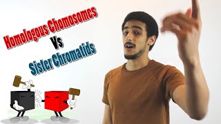 Homologous chromosomes Vs Sister Chromatids شرح بالعربي [upl. by Notslar]