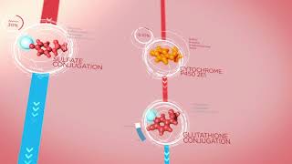 Whats the Difference Between Ibuprofen amp Acetaminophen [upl. by Brittan185]