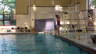 Teach a Flip for Springboard Diving [upl. by Guglielma]