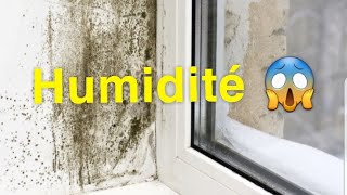 Comment nettoyer lhumidité superficielles sur les murs en 5 minutes how to clean moisture [upl. by Idnahc902]