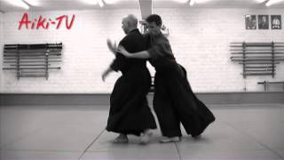 Yoseikan Aikijujutsu demonstration by Hugo Chauveau [upl. by Orabelle]