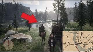 Red Dead Redemption 2 Cardinal Location [upl. by Andeee]