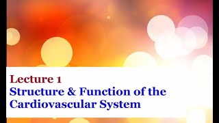 Lecture 1  Introduction to the Cardiovascular System [upl. by Lledroc]