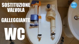 Come sostituire la Valvola Galleggiante dello Sciacquone WC [upl. by Aicargatla]