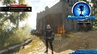 The Witcher 3 Wild Hunt  Griffin Witcher Gear Set Locations Armed and Dangerous Trophy [upl. by Paryavi]