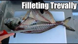 Filleting a New Zealand Trevally [upl. by Adlanor257]