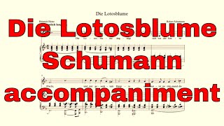 Die Lotosblume accompaniment in F Major  Robert Schumann [upl. by Aerdua]