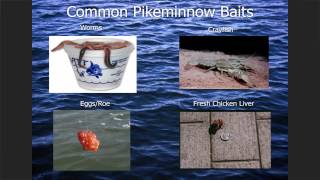 HowToCatchPikeminnow Instructional Seminar [upl. by Roxanna]