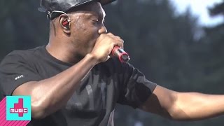 Dizzee Rascal  Dance Wiv Me Live  Fusion Festival [upl. by Notslar]