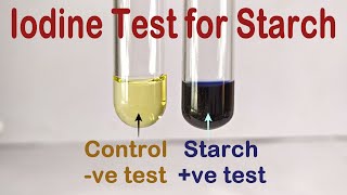 Iodine Test For Starch Practical Experiment [upl. by Tloc521]